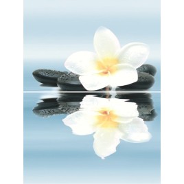 Dream Панно P2-2D185 30х40 (из 2-х пл.)