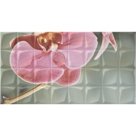 Dec. Orchid A Rosa RSA Декор 31,6x59,34