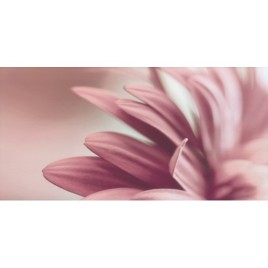 Sorenta bianco durst kwiaty A Декор 30x60