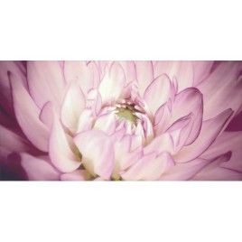 Sorenta mocca durst kwiaty В Декор 30x60