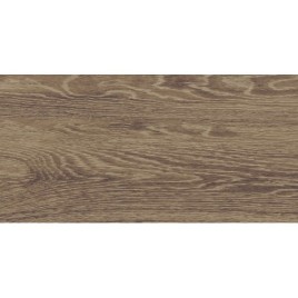 Anais Плитка настенная коричневый 34094 25х50