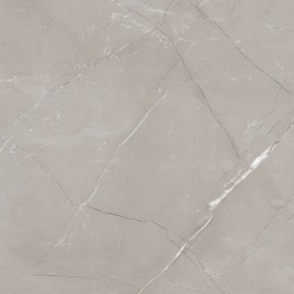 Витрум Гриджио Керамогранит серый 60х60 матовый