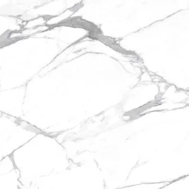 Carrara Terrific Silver Керамогранит белый 60х60 Матовый