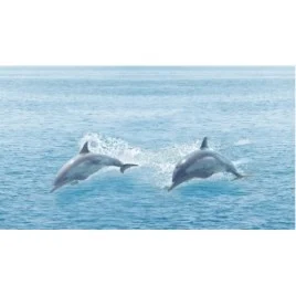 Dec Ocean Декор КВС16Ocean 25х45