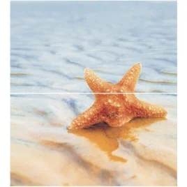 Dec Starfish 1 Panno (панно из 2-х шт) КПН16Starfish1 50х45