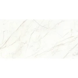 Europa Gold l Керамогранит белый 60x120 Матовый Карвинг