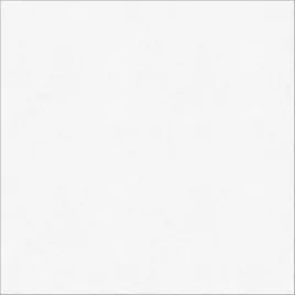 Керамогранит Monocolor sugar white белый PG 01 60х60