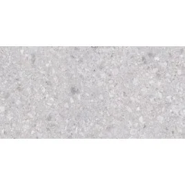 Matrix Керамогранит светло-серый K952681R0001LPER 59,7х119,7