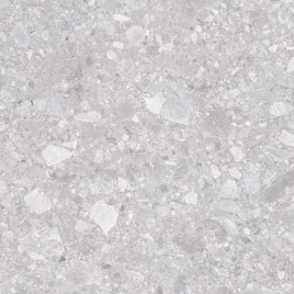 Matrix Керамогранит светло-серый K952738R0001LPET 60x60