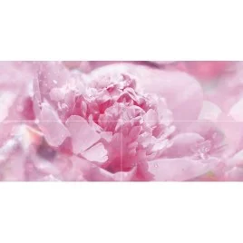 Peony Панно P4D281 80х40 (из 4 плиток)