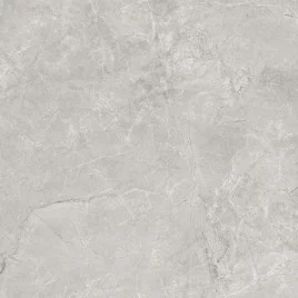 Pluto Silver Керамогранит светло-серый SG625820R 59,5х59,5 матовый