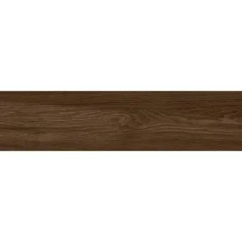 Polo Choco Керамогранит шоколадный K952685R0001LPET 20х80