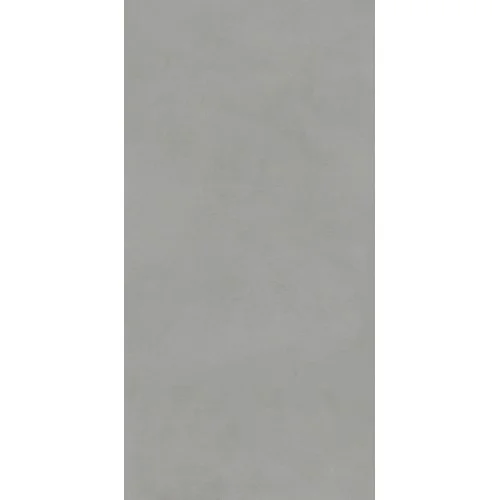 Про Чементо Керамогранит серый матовый обрезной DD504620R 60x119,5