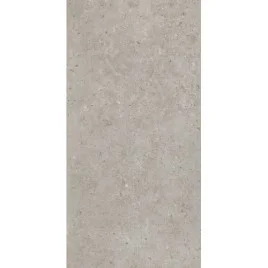 Риккарди Керамогранит серый светлый матовый обрезной SG519920R 60х119,5