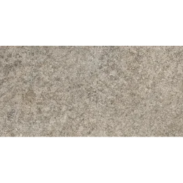 Stone-X Керамогранит Тауп Матовый K949788R0001VTE0 30х60