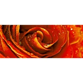 Syntia Rose 1 Декор 20х50