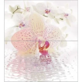 Dec Orchid Panno (панно из 2-х шт) КПН16Orchid 50х45